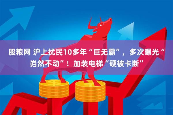 股粮网 沪上扰民10多年“巨无霸”，多次曝光“岿然不动”！加装电梯“硬被卡断”