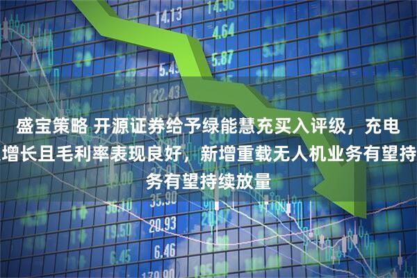 盛宝策略 开源证券给予绿能慧充买入评级，充电桩高速增长且毛利率表现良好，新增重载无人机业务有望持续放量