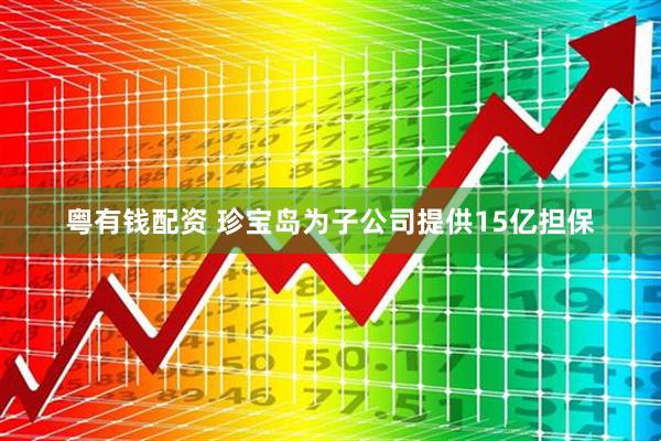 粤有钱配资 珍宝岛为子公司提供15亿担保